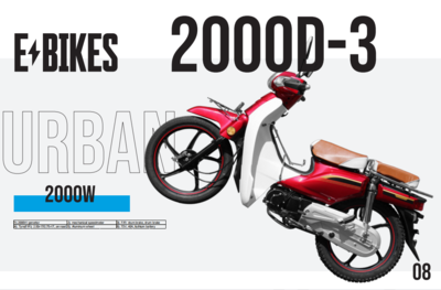 2000D-3