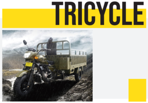 TRICYCLE